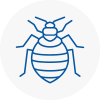 Bed Bug Extermination In Oxhey