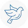 Bird Prevention Oxhey