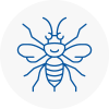 Oxhey Hornet Nest Removals