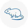Rat Control Oxhey