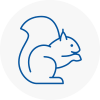 Oxhey Rodent Removals